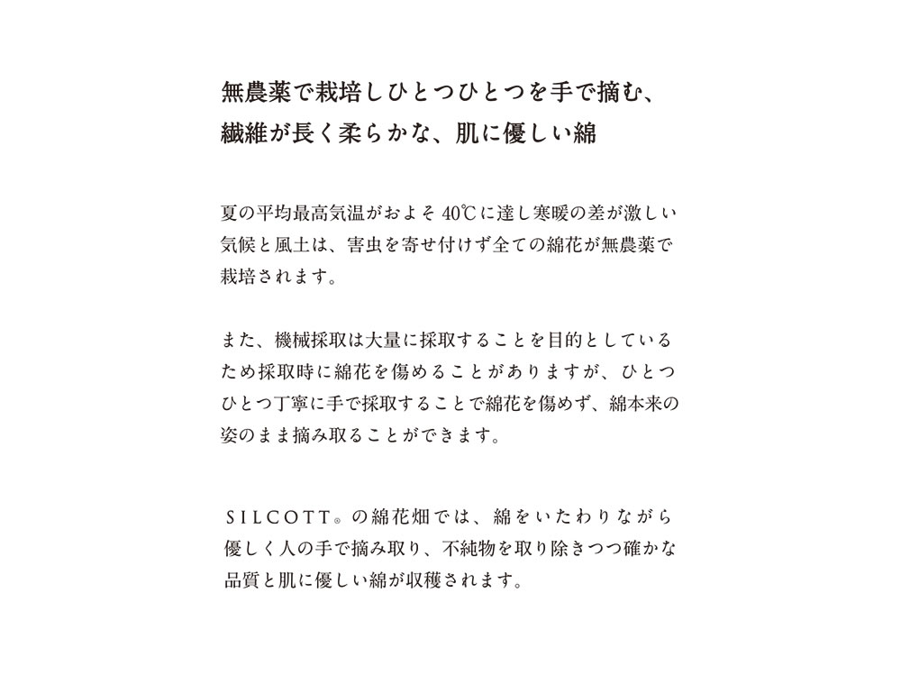 シルコット silcott